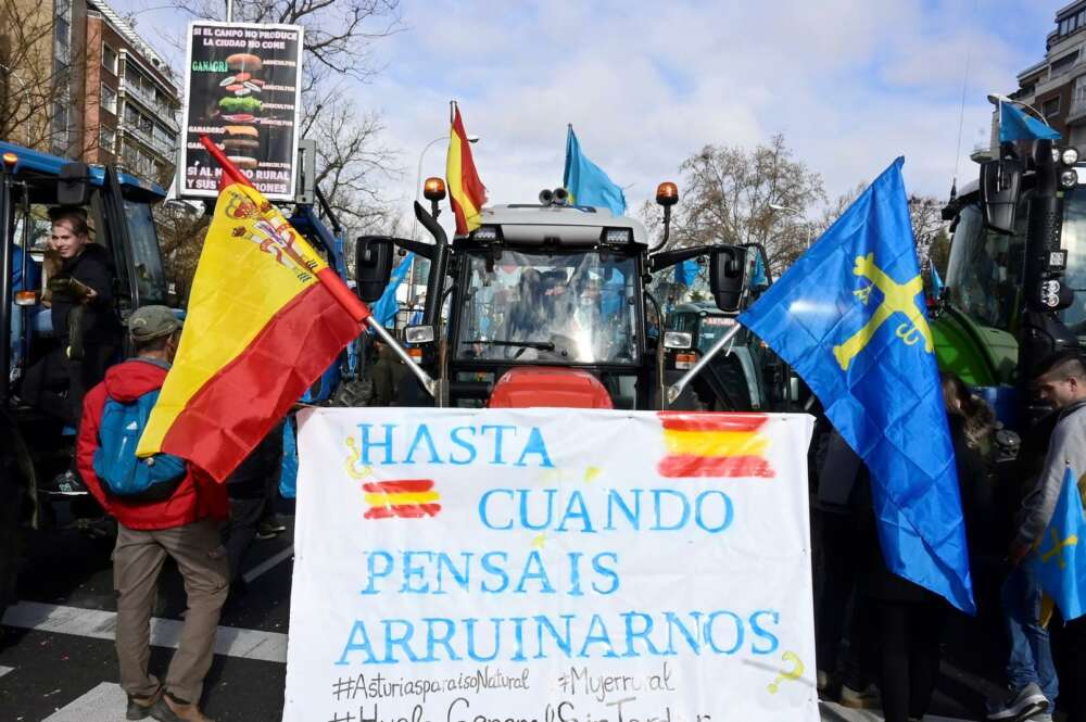 Manifestación del mundo rural en Madrid / EFE