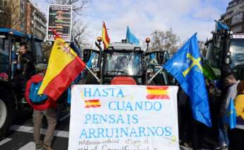 Manifestación del mundo rural en Madrid / EFE