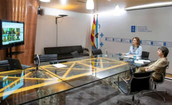 A vicepresidenta segunda e conselleira de Medio Ambiente, Territorio e Vivenda en funcións, Ángeles Vázquez, participa por videoconferencia, no Consello Consultivo de Asuntos Medioambientais