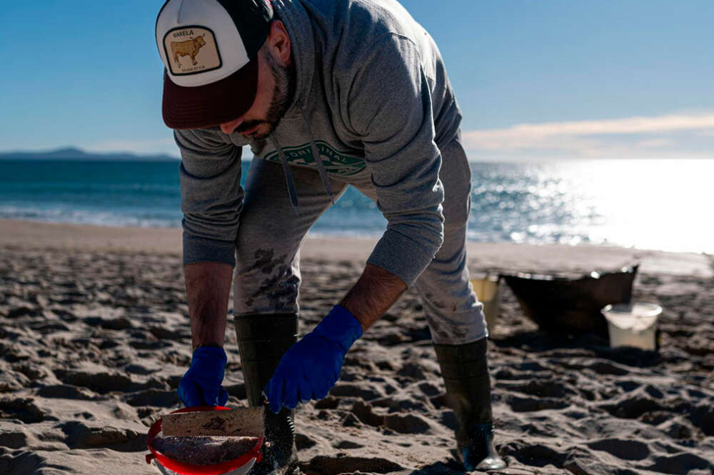 Voluntarios hacen una recogida de pellets de la arena, Galicia, a 7 de enero de 2024, en A Coruña, Galicia (España)