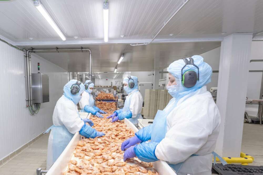 Trabajadores de la planta de procesado de Caladero, del grupo Profand, en Zaragoza