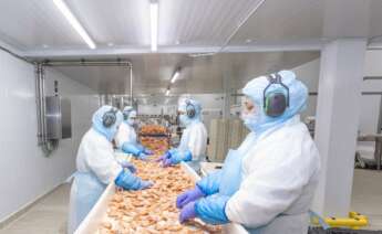 Trabajadores de la planta de procesado de Caladero, del grupo Profand, en Zaragoza