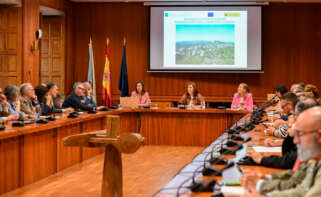 Reunión del Consello Galego de Medio Ambiente (Cogamads