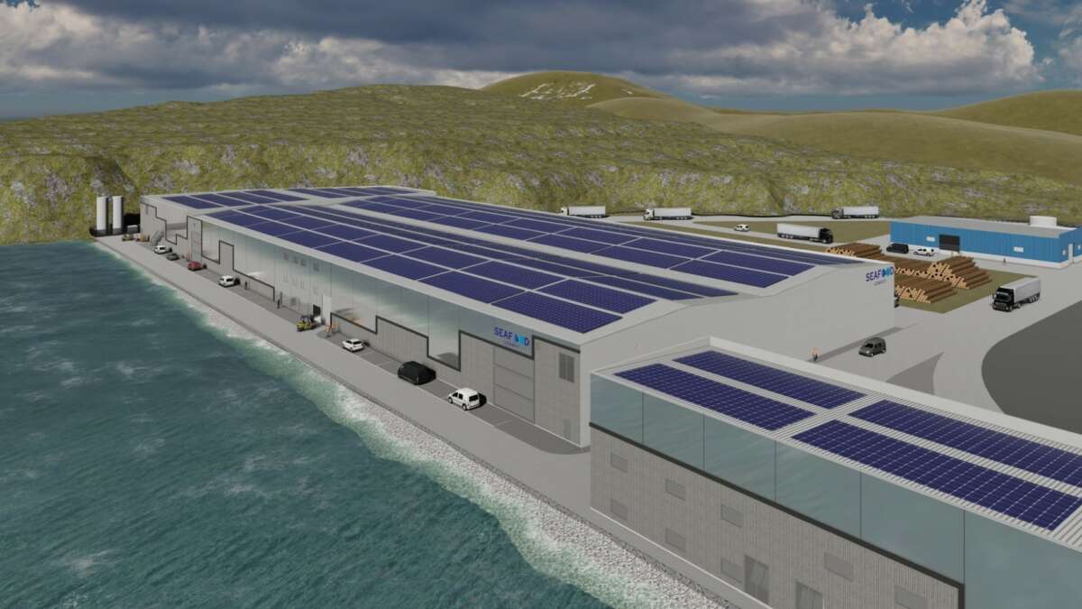 Imagen del proyecto de Seafood Legacy en Burela / Impulso