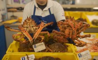 Pesca y venta de centollo en Pontevedra