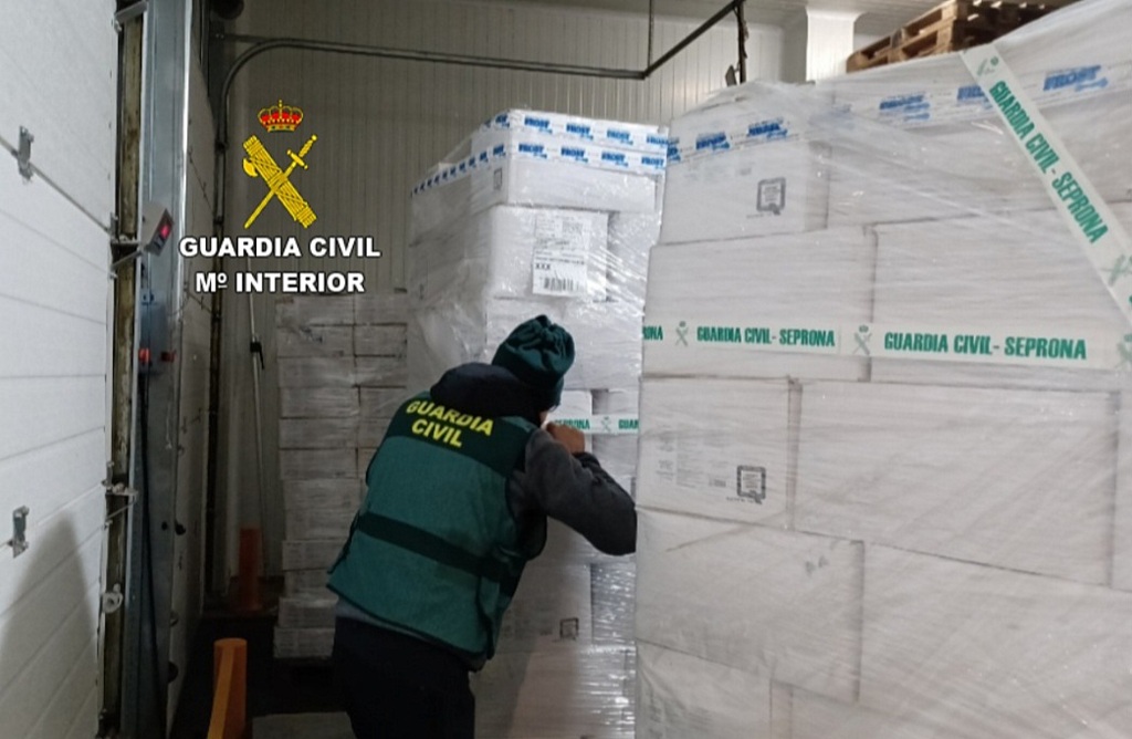 Intervenidas 270 toneladas de productos del mar congelados e investigadas 13 personas en Pontevedra / Guardia Civil de Pontevedra