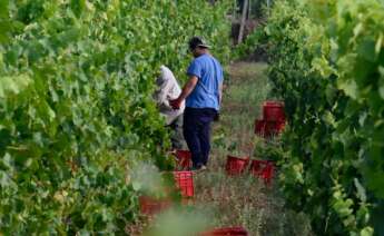 Trabajadores en un municipio ourensano - Rosa Veiga