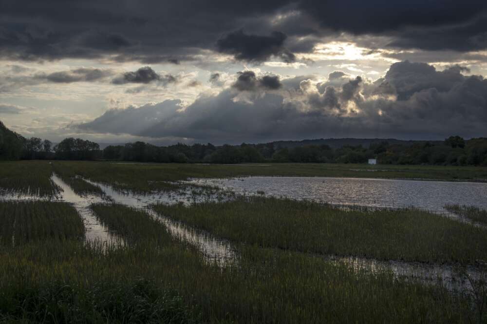 Parcela inundada, antigua laguna de Antela, en Piñeira Seca, a 16 de mayo de 2025, en Xinzo de Limia, Ourense, Galicia (España). Cientos de productores de la comarca ourensana de A Limia temen por la cosecha de la patata al no poder iniciar la siembra en fincas "impracticables" por las lluvias de primavera. Se calcula que solo se ha podido sembrar un 1% de las 3.800 hectáreas destinadas a patata, de donde se recogen 120 millones de kilos de patata.