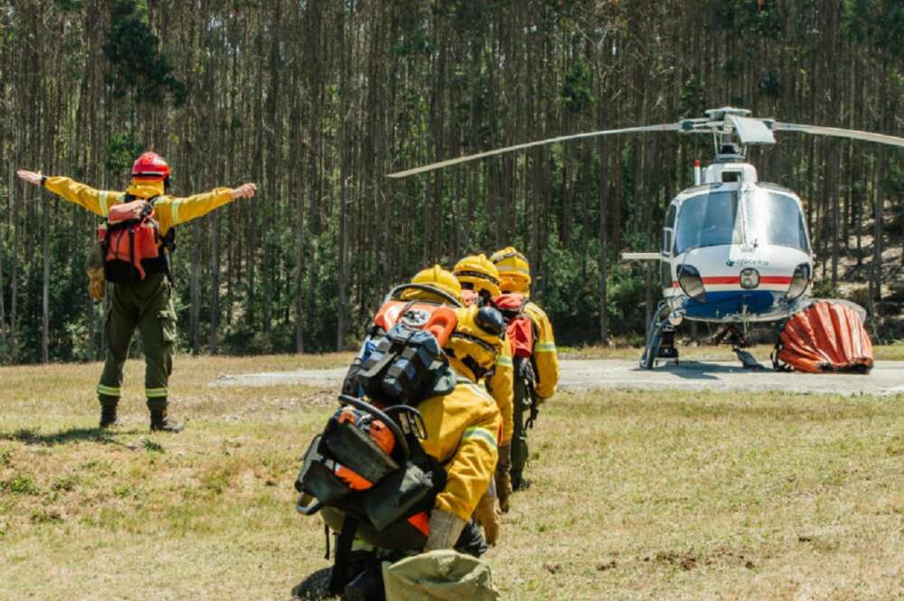 Imagen de efectivos de Afocelca, la compañía contra incendios forestales en el rural con capital compartido entre las compañías de celulosa Altri y Navigator en Portugal
