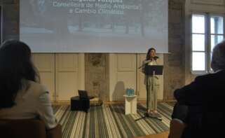 La conselleira de Medio Ambiente e Cambio Climático,´Angeles Vázquez, durante la presentación de la tercera edición del Atlas Urbano de la Sostenibilidad en Galicia / Pablo Ares Heres