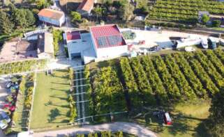 Imagen de la bodega Quinta do Couselo, que fue adquirida por Hijos de Rivera dentro de la operación con la familia Mouriño