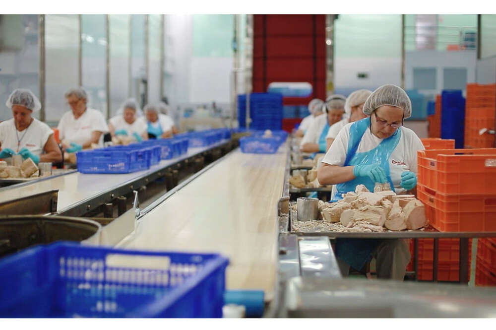 Trabajadoras de Escurís, del grupo Jealsa, elaborando conservas de atún / Jealsa