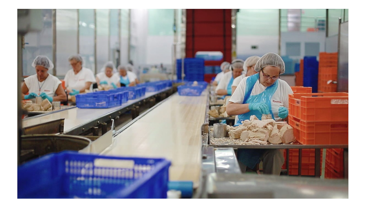 Trabajadoras de Escurís, del grupo Jealsa, elaborando conservas de atún / Jealsa