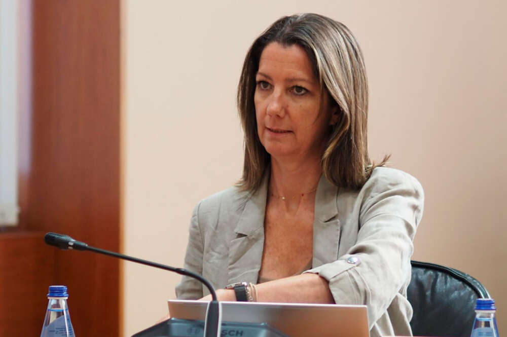 La viceportavoz segunda del Grupo Socialista, Lara Méndez