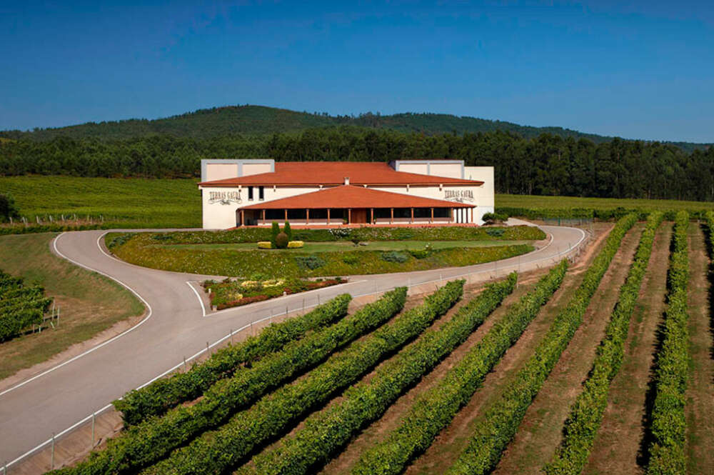 Bodega Terras Gauda. Terras Gauda