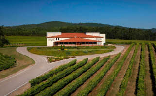 Bodega Terras Gauda. Terras Gauda
