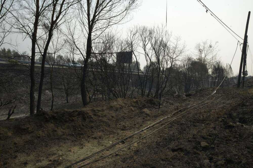 Superficie quemada en incendios de Ourense / Europa Press