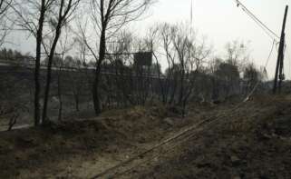 Superficie quemada en incendios de Ourense / Europa Press