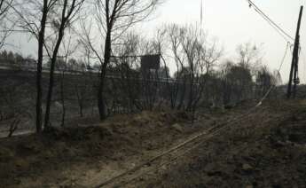 Superficie quemada en incendios de Ourense / Europa Press