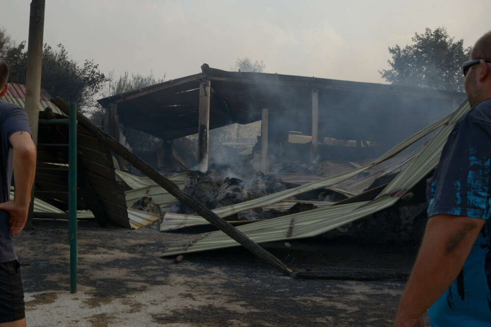 Dos ganaderos observan el estado de su granja tras el paso del fuego, a 13 de agosto de 2025, en Cova, Pobra de Trives, Ourense, Galicia (España)