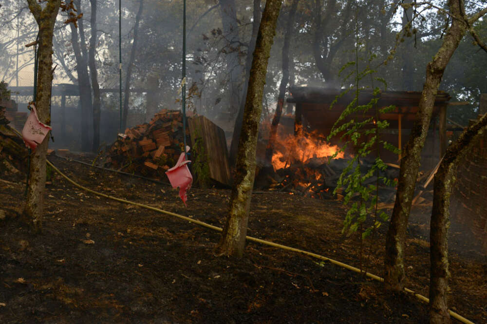 Jardín privado quemado durante el incendio, a 12 de agosto de 2025, en Seixalbo, Ourense