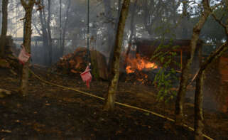 Jardín privado quemado durante el incendio, a 12 de agosto de 2025, en Seixalbo, Ourense