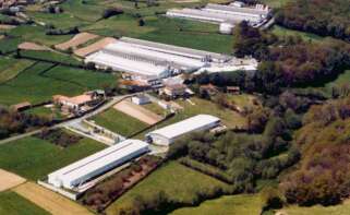 Imagen de archivo de instalaciones del grupo Granxa Campomayo