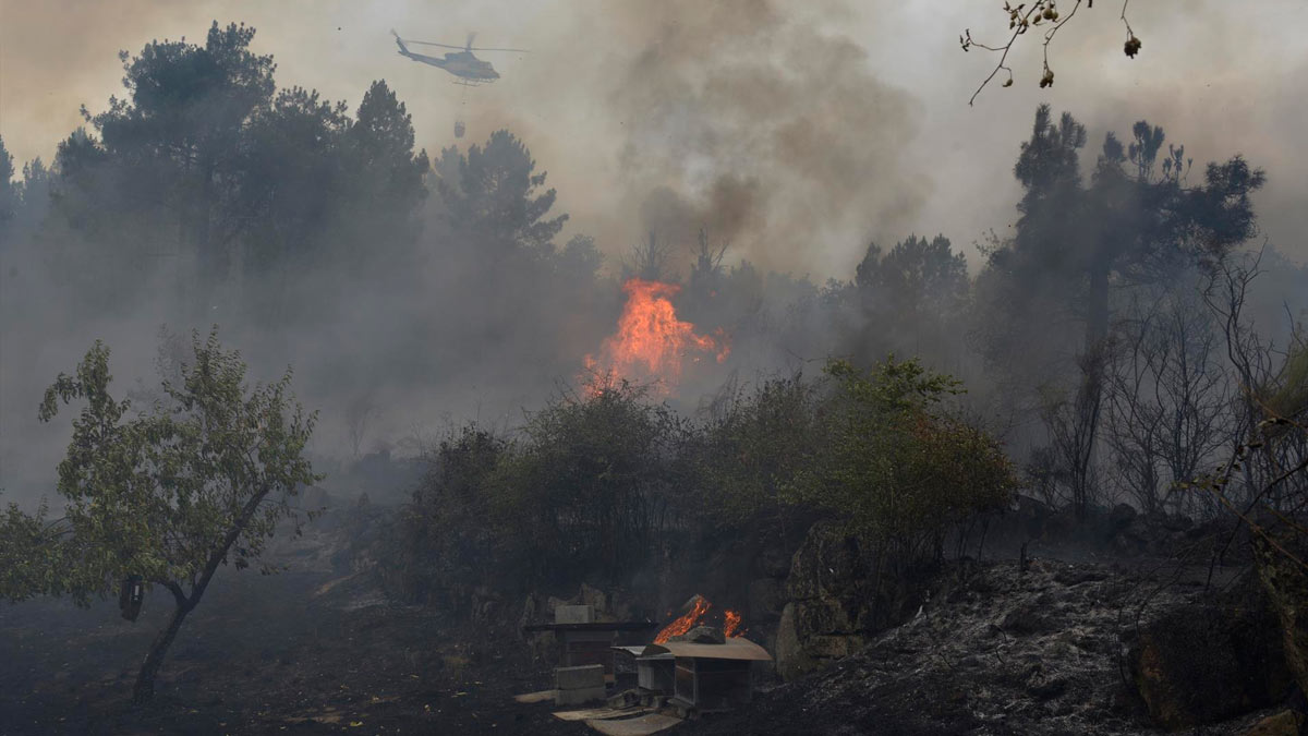 Un helicóptero trata de extinguir el incendio, a 12 de agosto de 2025, en Seixalbo, Ourense, Galicia (España)