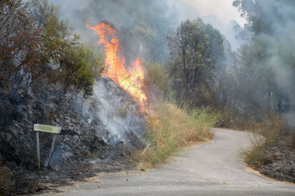 Incendio forestal próximo a Quiroga, en Lugo / EP