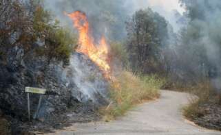 Incendio forestal próximo a Quiroga, en Lugo / EP