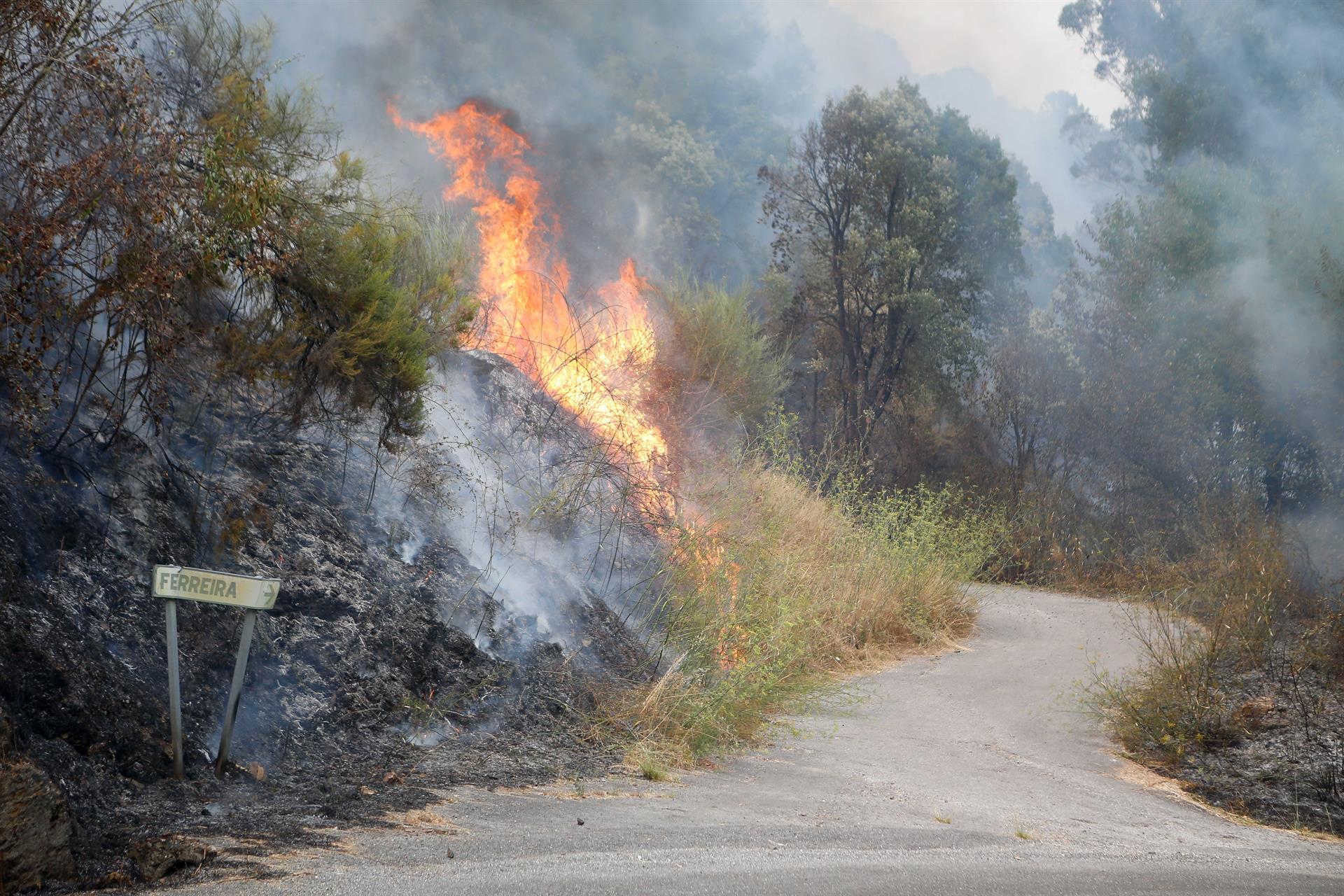 Incendio forestal próximo a Quiroga, en Lugo / EP