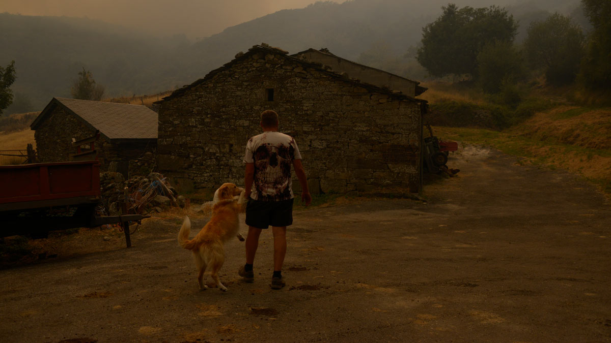 Una persona con su perro observa el incendio en Requeixo, a 11 de agosto de 2025, en Chandrexa de Queixa