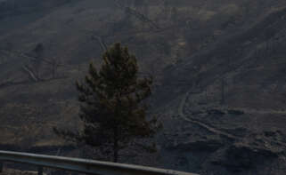 Vista tras el incendio en San Vicente de Leira