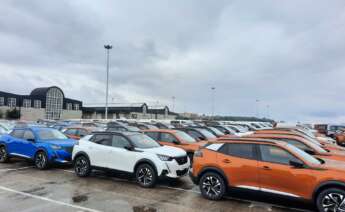 Acumulación de coches de Stellantis en el Puerto de Vigo / Europa Press