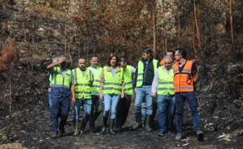 La conselleira de Medio Ambiente, Ángeles Vázquez, visita una zona de Vilaboa (Pontevedra), donde Augas de Galicia acomete trabajos para evitar el arrastre de cenizas