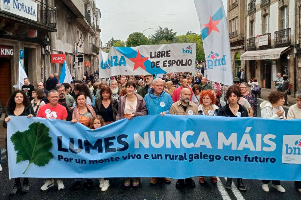 Manifestación convocada este domingo en Santiago bajo el lema 'Lumes nunca máis'.