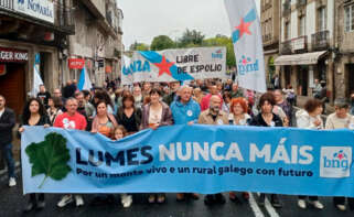 Manifestación convocada este domingo en Santiago bajo el lema 'Lumes nunca máis'.