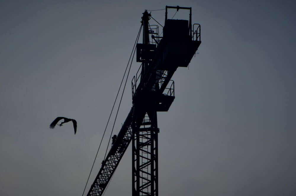 Una grúa de construcción, a 19 de abril de 2023, en Ourense