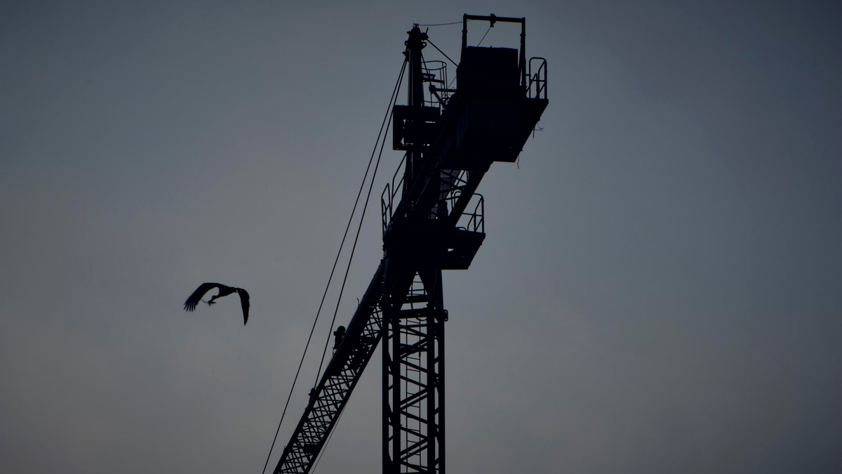 Una grúa de construcción, a 19 de abril de 2023, en Ourense