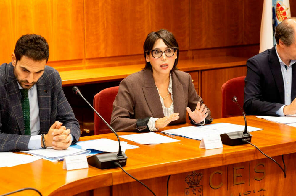 La conselleira de Economía e Industria, María Jesús Lorenzana, en el Consello da Minaría de Galicia