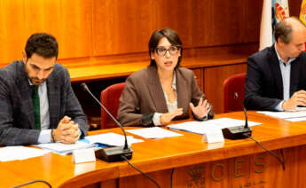 La conselleira de Economía e Industria, María Jesús Lorenzana, en el Consello da Minaría de Galicia