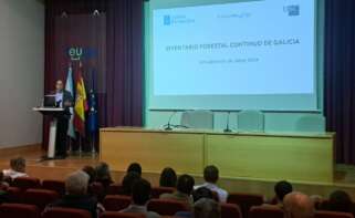 El director de la Axencia Galega da Industria Forestal (Xera), Alfredo Fernández Ríos, durante la presentación de los últimos datos del Inventario Forestal Continuo de Galicia