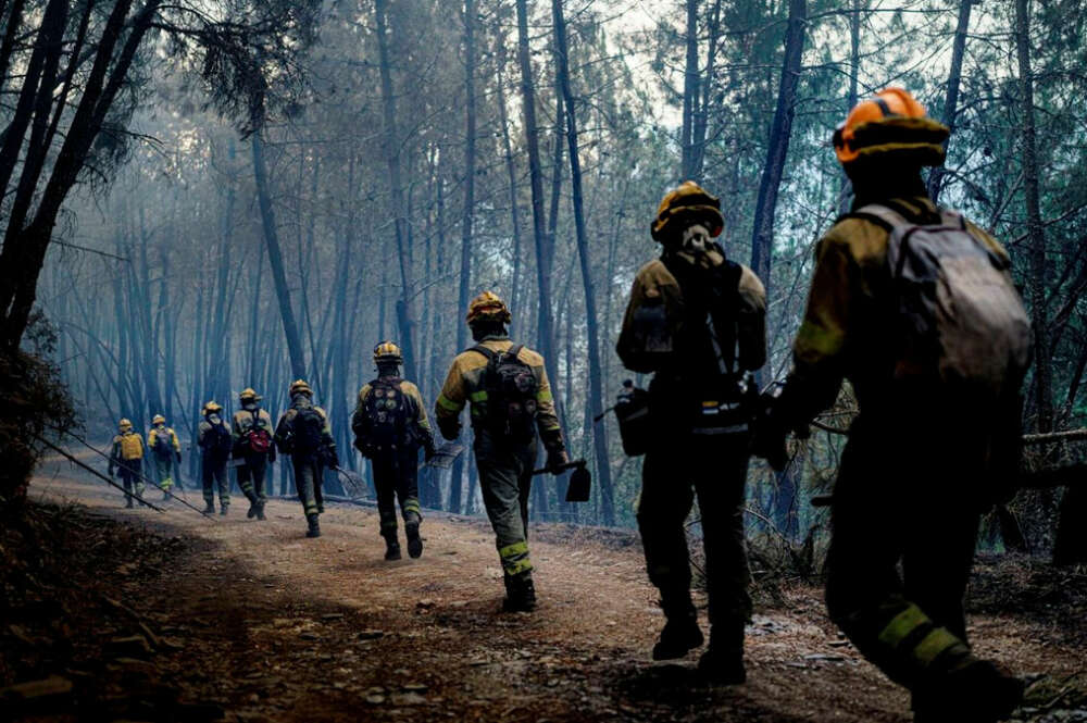 Brigadistas en A Pobra do Brollón (Lugo)