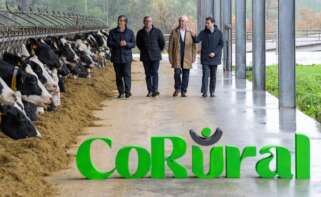 Directivos de Leche Celta y Clun (Feiraco), en el anuncio de la creación del nuevo grupo lácteo gallego