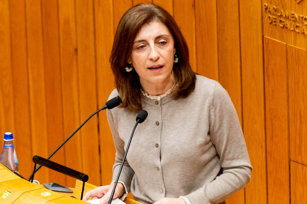 La conselleira de Medio Ambiente, Ángeles Vázquez, en el Parlamento