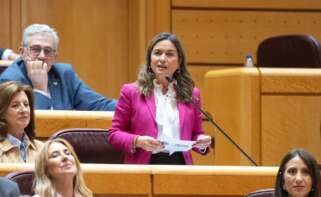 La senadora gallega del PP, Pepa Pardo / Europa Press