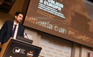 El director general de Planificación Energética y Minas, Pablo Fernández Vila, en unas jornadas sobre minería