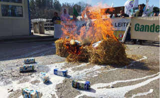 Protesta en la planta de Lactalis en Vilalba convocada por el Sindicato Labrego Galego