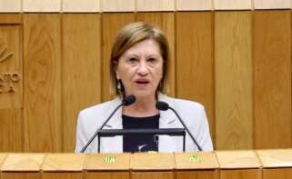 La exdiputada del PSdeG Elena Espinosa / PSdeG