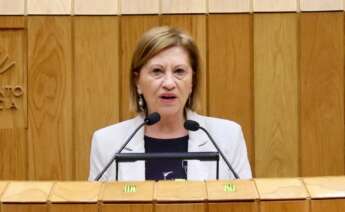 La exdiputada del PSdeG Elena Espinosa / PSdeG